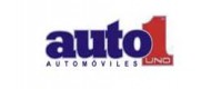AUTO 1 GESTION INTEGRAL, S.L. AUTO 1 GESTION INTEGRAL, S.L.