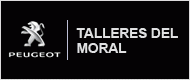 TALLERES DEL MORAL, S.L. TALLERES DEL MORAL, S.L.