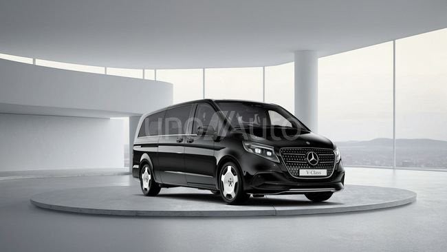 300 Avantgarde Extralargo