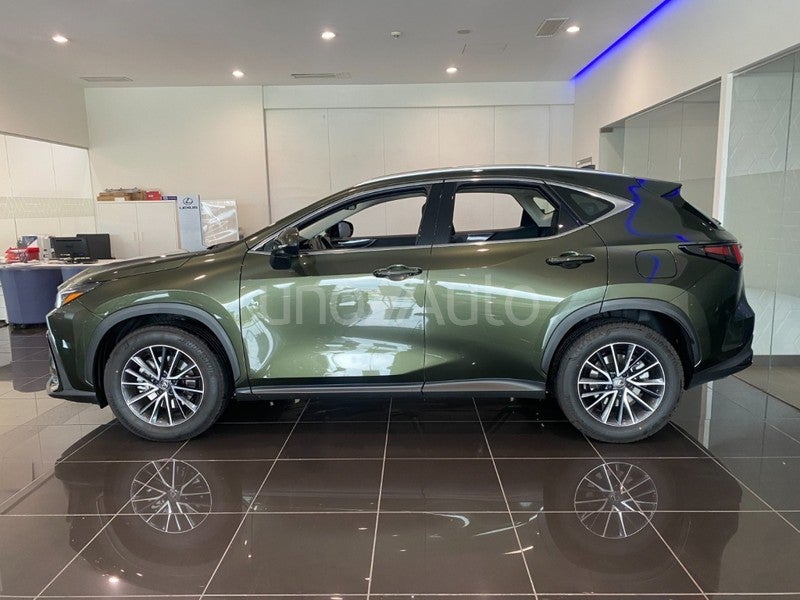 NX 350h Premium+ 2WD