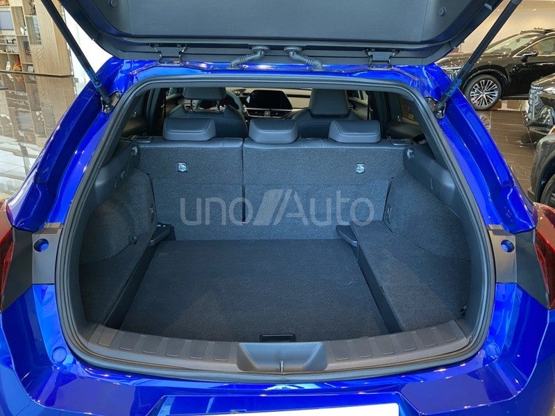 UX 300h F Sport 2WD