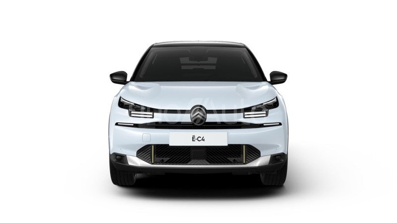 C4 Hybrid Business Edition eDSC6 145