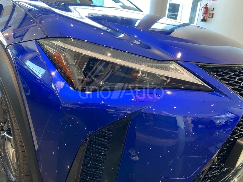 UX 300h F Sport 2WD