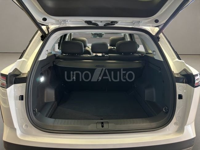 Exclusive 1.6 TGDI 108kW (145CV) AWD