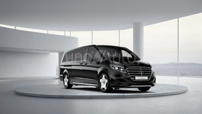 250 d Exclusive Extralargo