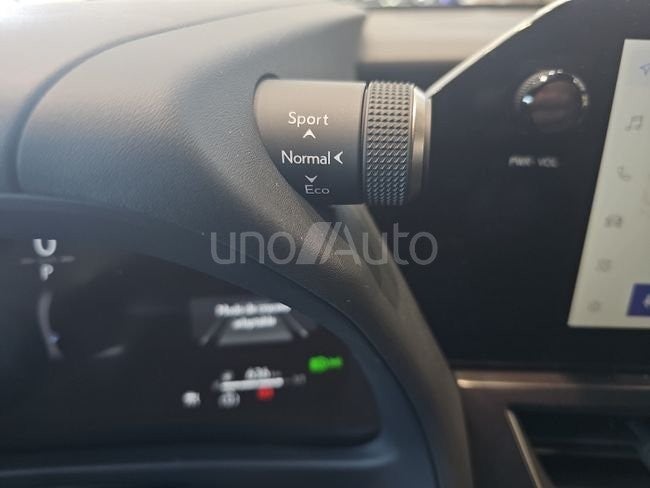UX 300h F Sport Legend