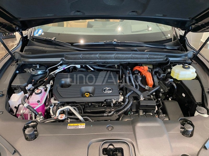 RX 450h+ Executive