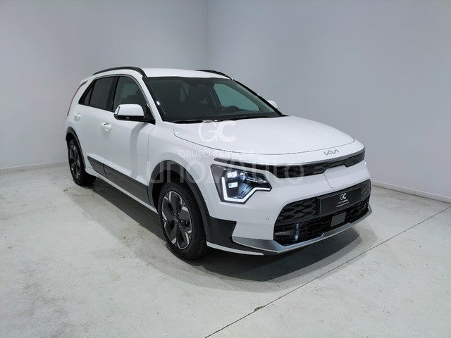 E-Niro Winter Edition