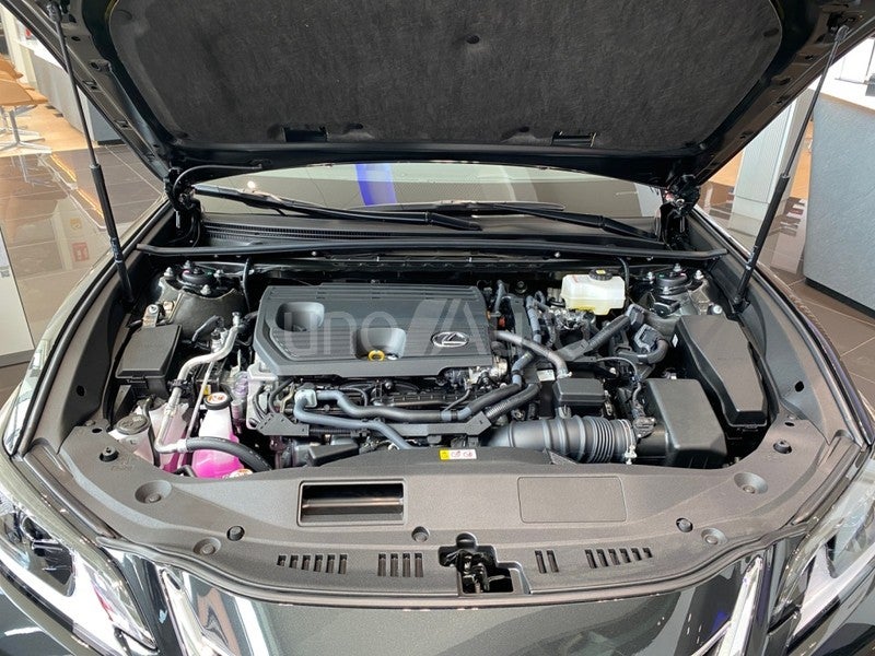 ES 300h Premium