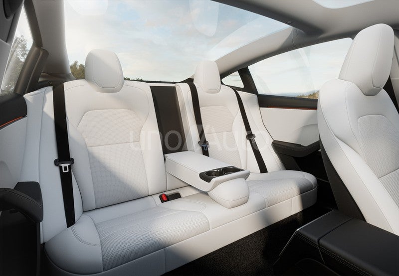 Model 3 Long Range RWD