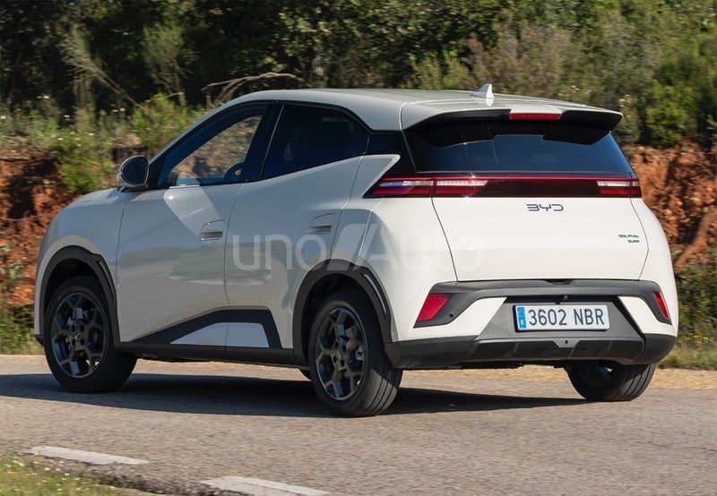 Dolphin Surf Active 175kW