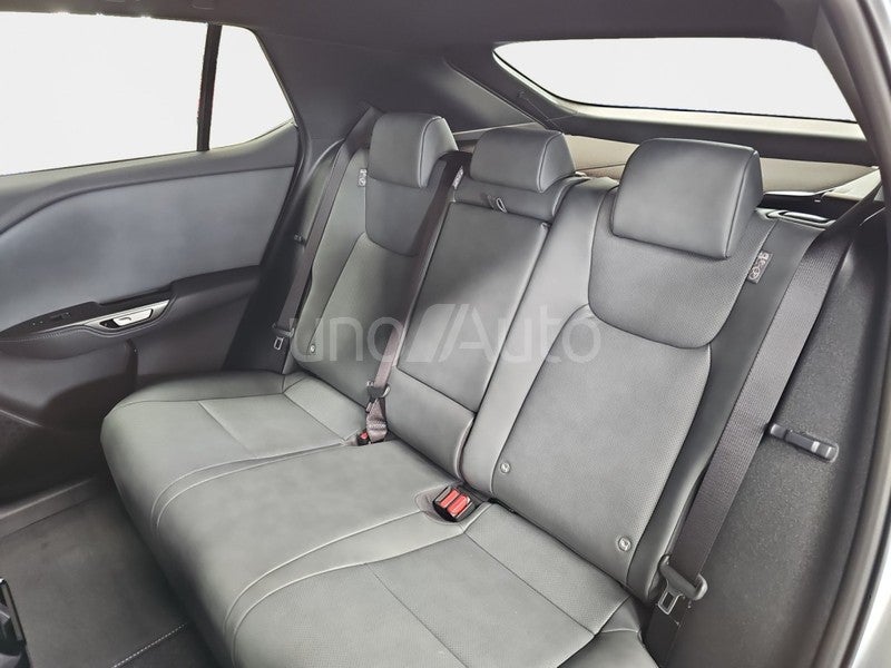 RZ 350e e-Premium Efficiency FWD