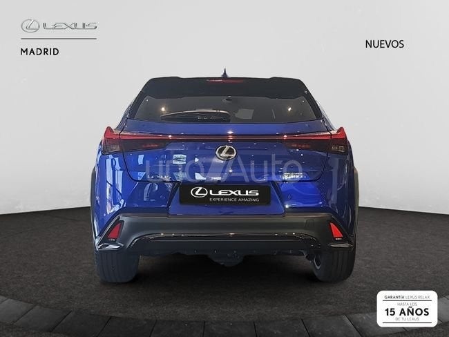 UX 300h F Sport Legend