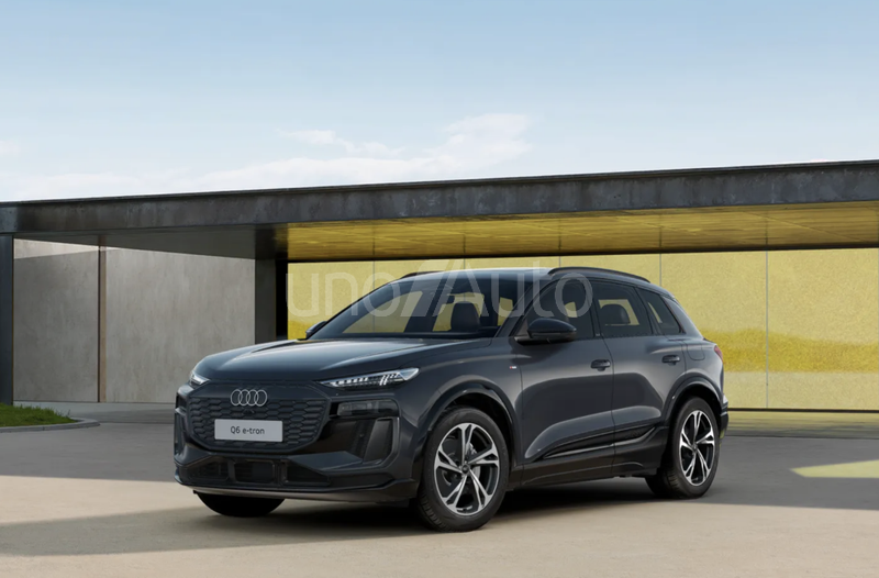 Q6 e-tron performance S line 225kW 100KWh