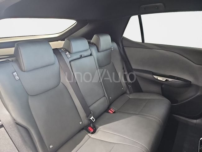 RZ 350e e-Premium Efficiency FWD