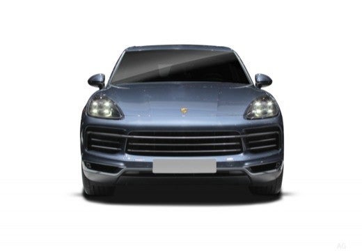 Cayenne E-Hybrid Platinum Edition Aut.
