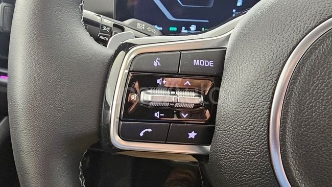 Sorento 1.6 T-GDi HEV Emotion 4x2
