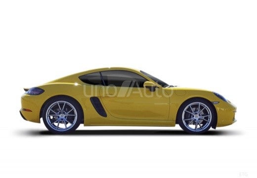 Cayman T