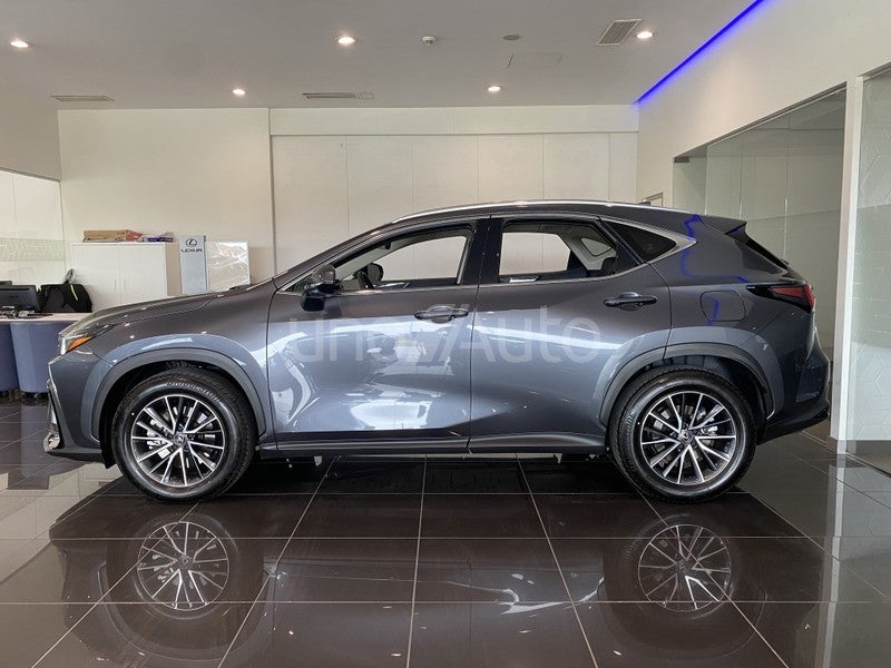 NX 450h+ Premium+ 4WD