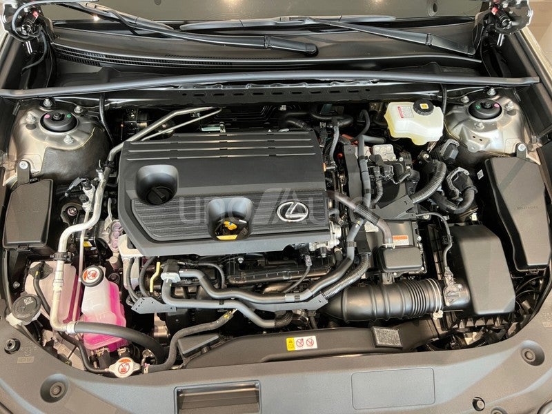 ES 300h Premium