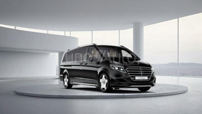 300 Exclusive Extralargo