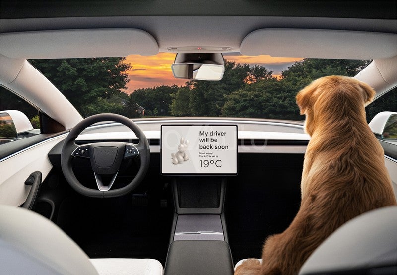 Model 3 Long Range RWD