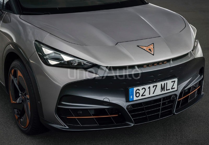 Tavascan 77kWh 210kW Endurance First Edition