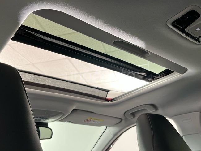 HEV Premium 1. TGDI 16kW (224CV)