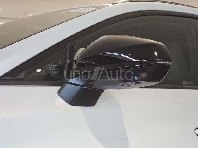 RZ 350e e-Premium Efficiency FWD