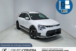 KIA Niro E-Niro Winter Edition