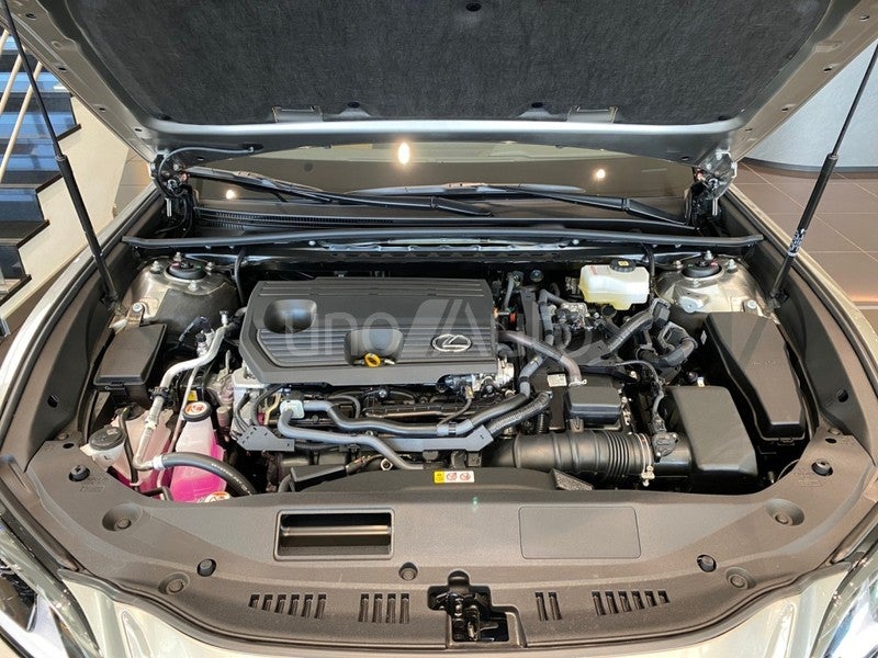 ES 300h Premium