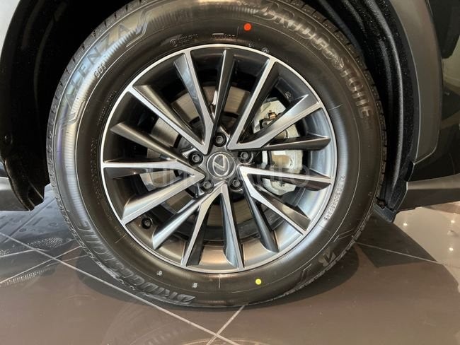 NX 450h+ Premium+ 4WD