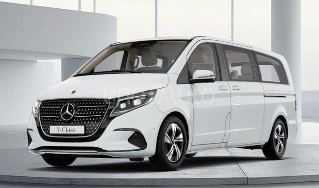 300 Avantgarde Extralargo