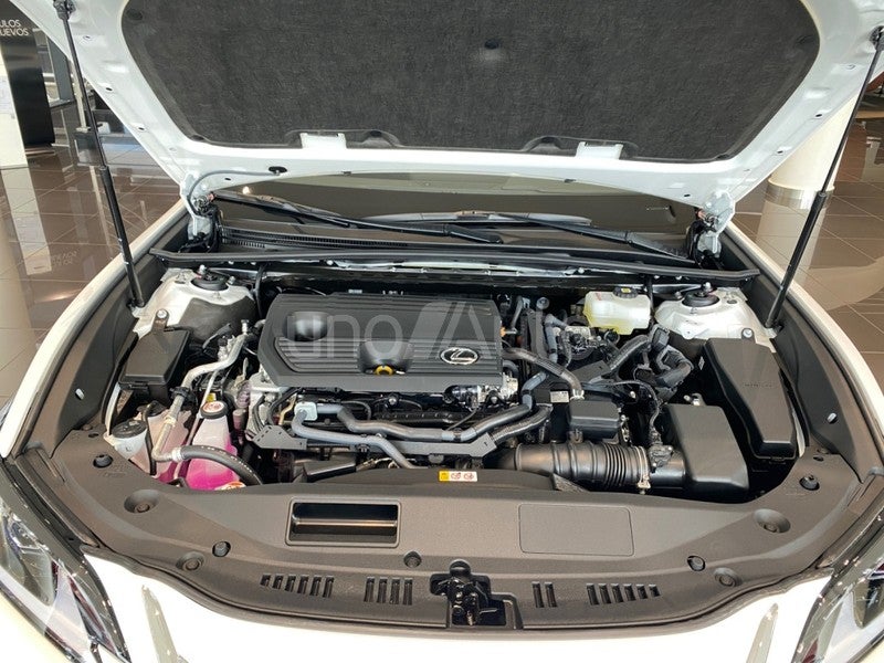 ES 300h Premium