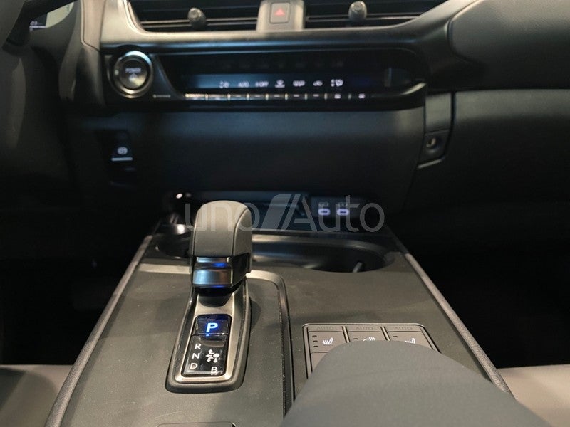 UX 300h F Sport 2WD