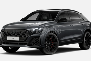 AUDI Q8 TFSIe Black limited quattro tiptronic 290kW