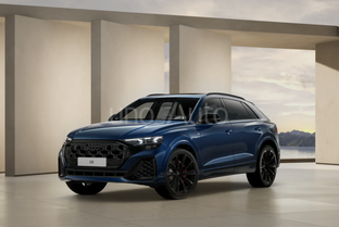 AUDI Q8 TFSIe Black limited quattro tiptronic 290kW