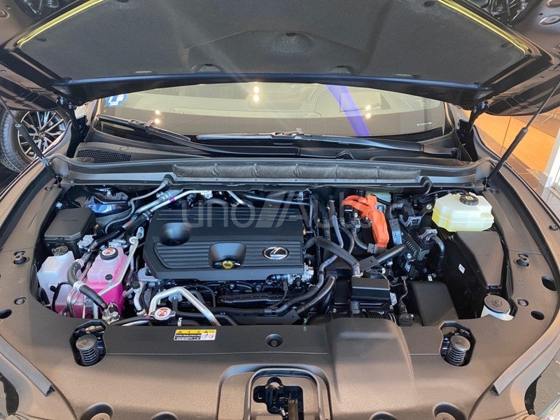 RX 450h+ Executive