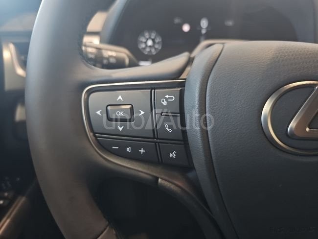 UX 300h F Sport Legend