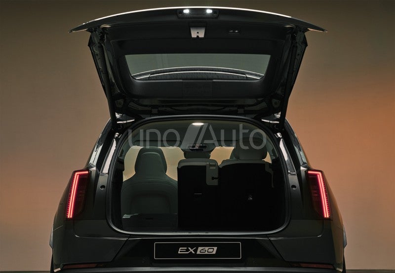 EX60 P6 Electric Plus RWD