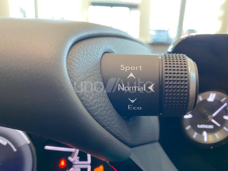ES 300h Premium