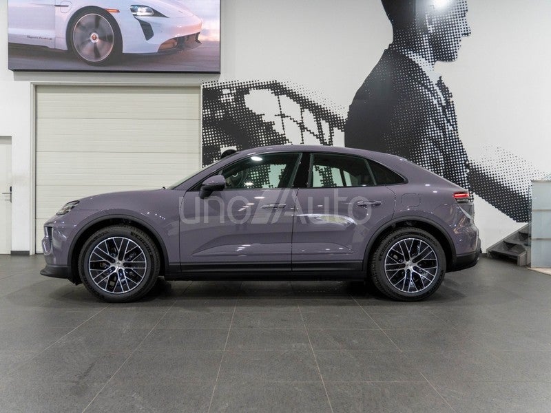 Macan