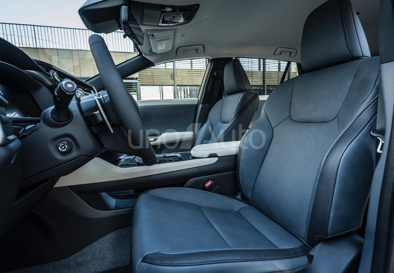 RZ 350e e-Executive FWD