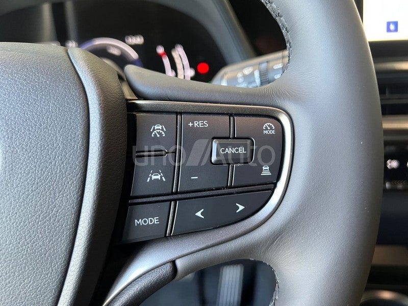 LEXUS UX 2.0 300h  Plus