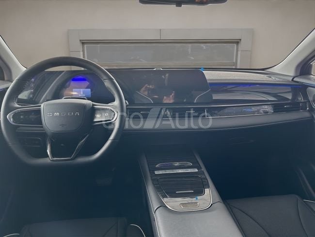 MY2 - Premium 1.6 TGDI 108kW (14cv)