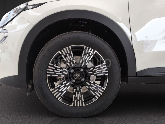 Icon MHEV 1.2 81kW (110CV) DDCT