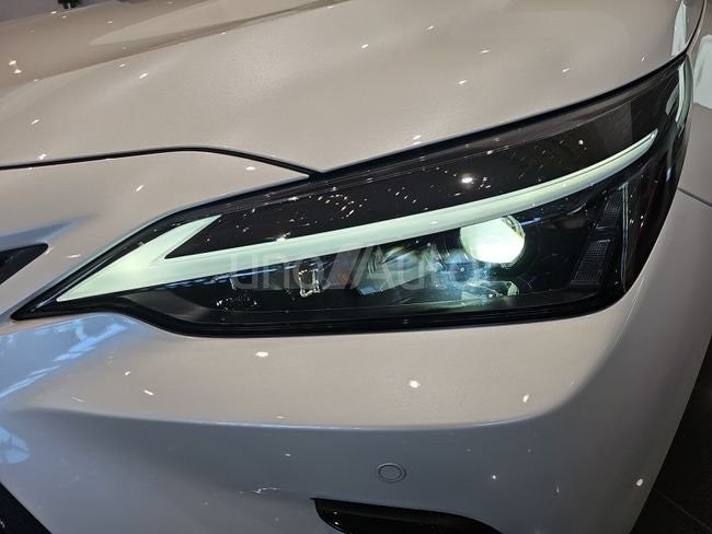 NX 450h+ Premium+ 4WD