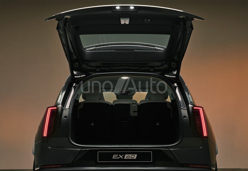 EX60 P6 Electric Plus RWD