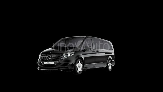 300 Avantgarde Extralargo