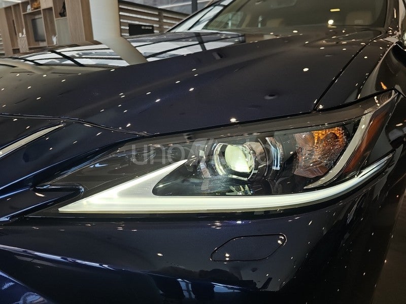 ES 300h Premium